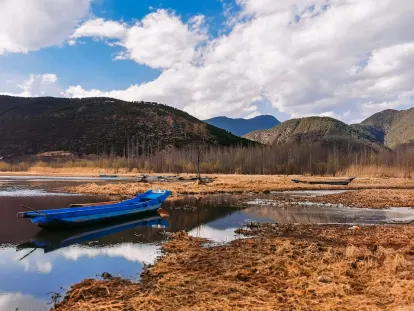 ביגווינס קזינו אפליקציה לנייד